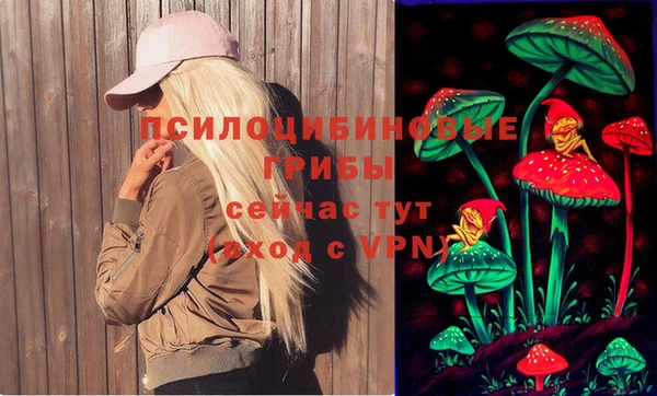 мескалин Краснослободск