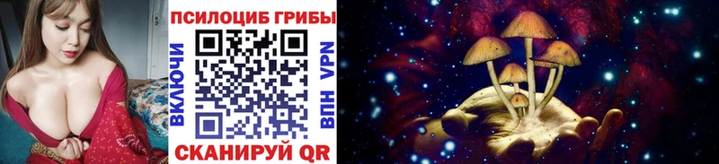 Псилоцибиновые грибы Magic Shrooms  Купить  Кострома 